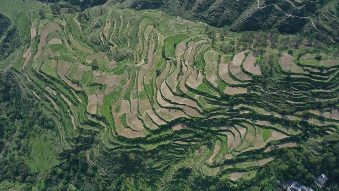 Fitur Google Maps untuk Cek Ketinggian Lokasi